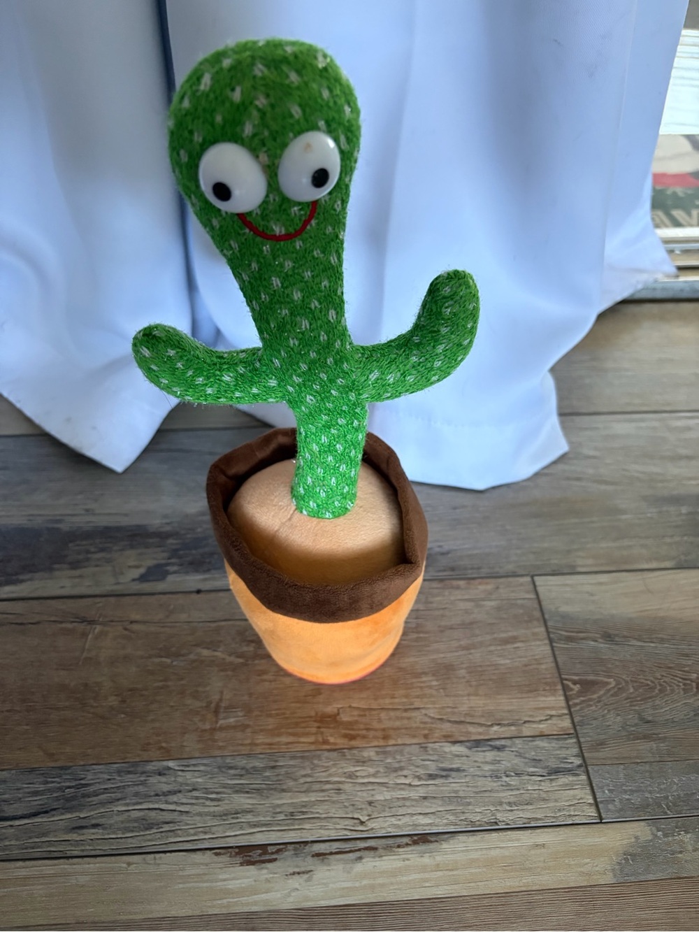 Dancing and singing Cactus
